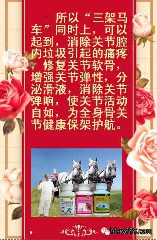 图层 6